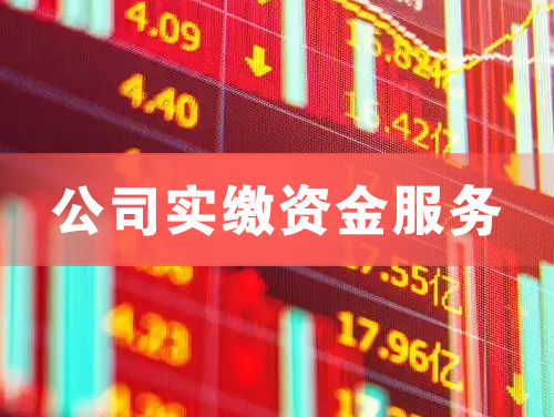 丽江公司实缴资金服务