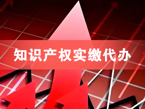 丽江知识产权实缴资本代办